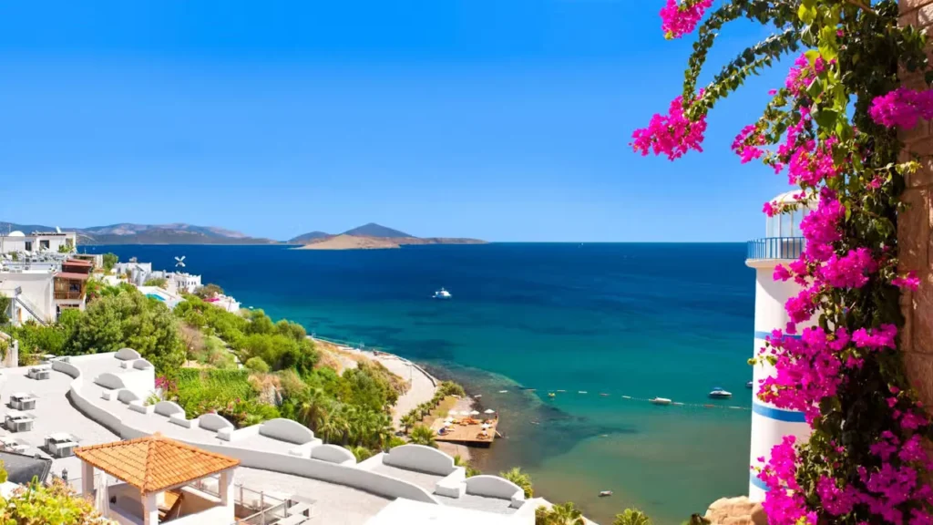 Ortakent Fayans ve Seramik Ustası